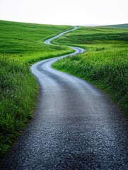 Canvas Print - Winding Road in Green Field