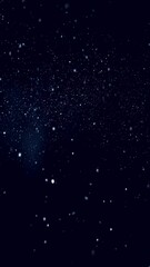 Poster - Abstract white random dotted pattern resembling snow on black background, overlay
