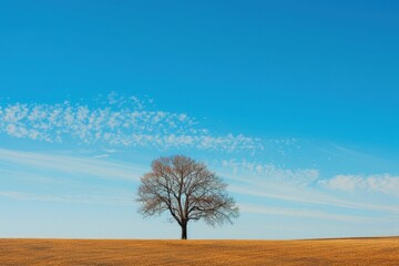 Wall Mural - Stunning view of a solitary tree against a vast blue sky and fluffy clouds in a golden grass landscape on a sunny day in the countryside