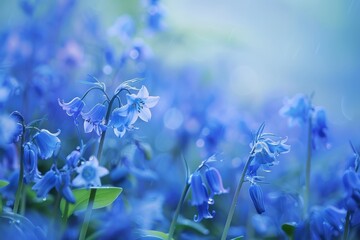 Wall Mural - Blue flowers bloom abundantly in a serene forest setting during springtime, creating a captivating and peaceful atmosphere