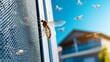 © Ekkarat_Studio - Keeping Mosquitoes at Bay: Swarm outdoors, mosquito screen protection, sunny day, suburban house backdrop