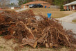 © Del Harper - Brush pile and tree limbs laying in brown grass beside the hilly  street with houses on the other side. WIde View. Daytime on a cloudy day.