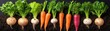 © Khritthithat - Freshly Harvested Colorful Root Vegetables Displayed on Dark Soil Background for Healthy Eating and Organic Lifestyle Promotion