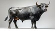 © mochalfin - Large black bull standing sideways against a light grey background.