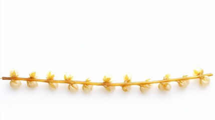 Poster - A delicate yellow flower branch against a white background, showcasing unique blossoms in a linear arrangement.