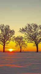 Wall Mural - Time lapse of golden sunset illuminating a snow covered field with bare trees silhouetted against a serene winter sky