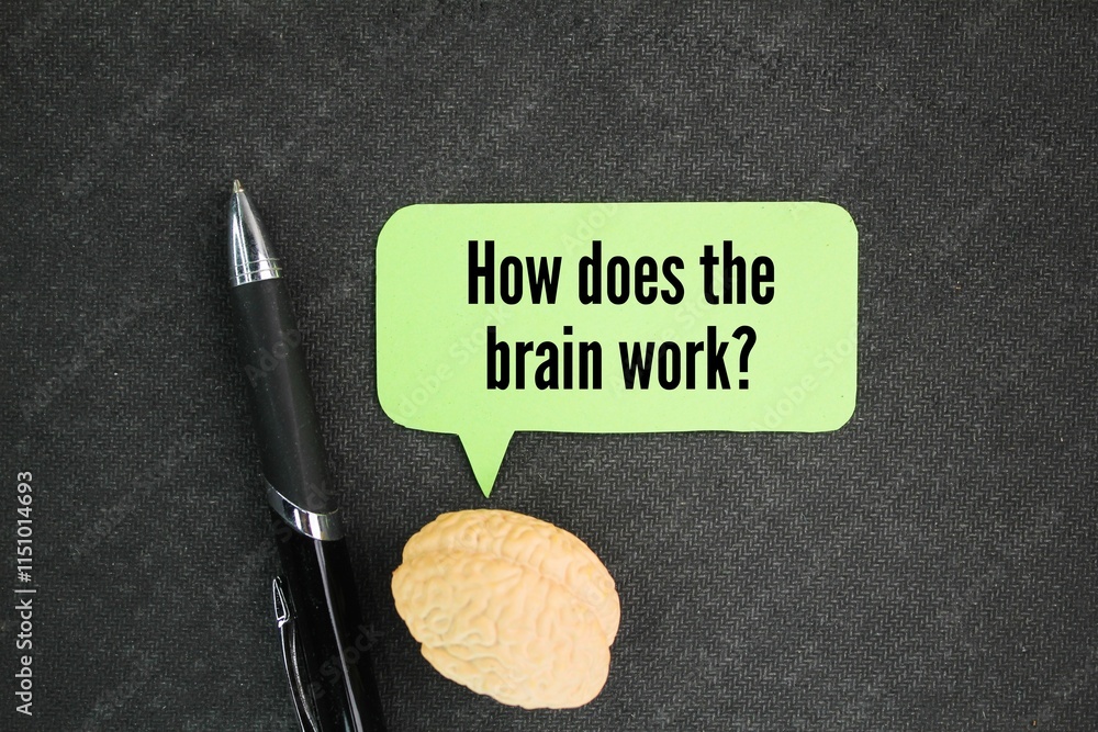 Foto de Stock brain shape and conversation column with question words ...