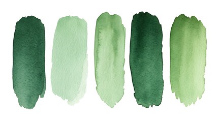 Wall Mural - five green watercolor brush strokes.