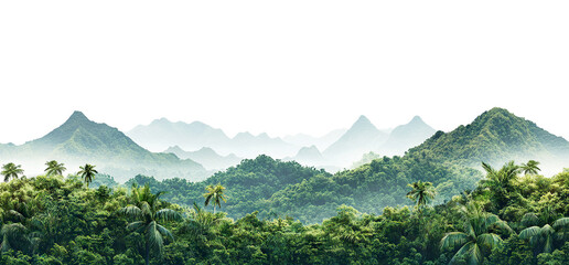 Wall Mural - Dense green jungle and distant misty peaks, isolated on transparent cutout background