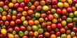 © StockKing - Vibrant small colorful tomatoes create a delightful background and texture, showcasing the unique shades and variety of small colorful tomatoes for your creative projects.