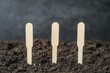 © Natalia - sustainability product. Compostable plant markers for gardeners, made from biodegradable materials that decompose naturally, sustainability product eco-friendly compostable, green gardening tool