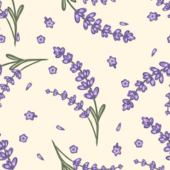 Wall Mural - Hand drawn seamless pattern featuring lavender blossoms and flowers on a light background