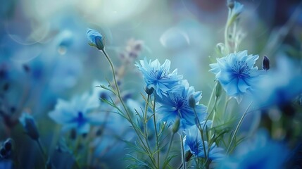 Wall Mural - Enchanted Blue Cosmos Field: A Serene Floral Dream