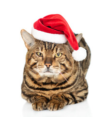 Aufkleber - Adult bengal cat wearing red santa hat lying in front view and looking at camera. isolated on white background