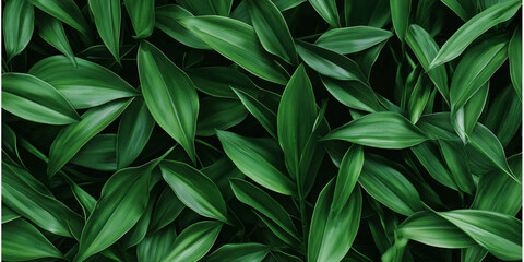 Wall Mural - Lush Green Foliage Background Texture