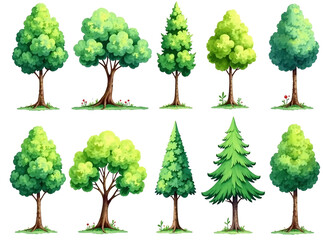 watercolor trees collection. set of hand drawn trees. forest tree pack.new image