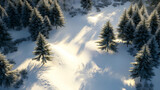 Majestic Winter Forest: Aerial View of Snow Covered Pine Trees