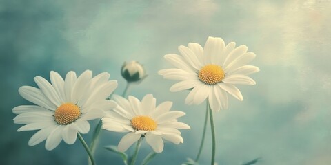 Canvas Print - Stunning white daisy flowers captured in an old film style, showcasing the beauty of white daisy flowers against a soft background. Enjoy the nostalgic charm of white daisy flowers.