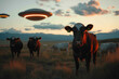 © Aksapix Studio - Alien Encounter in the Sunset Prairie: Cows Witness Unidentified Flying Objects Above Serene Landscape
