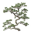 © Rudsaphon - Graceful Bonsai Tree Sculpture Adds Tranquil Asian Charm to Home or Office Decor