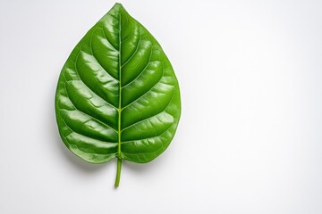 Poster - A minimalist design of a single green leaf with clean lines and soft gradients, placed on a white background for a fresh, modern look