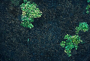 54 background environment variations