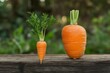 © Snap Soul - Big and small carrots, size matters concept, self esteem, self confidence and size issue, Generative AI