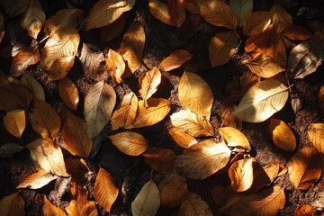 Poster - Golden Autumn Leaves Scattered On Forest Floor