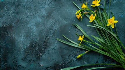 Wall Mural - St. David's Day, dark green stone background, bouquet of yellow daffodil flowers, horizontal banner, minimalism, copy space, free space for text