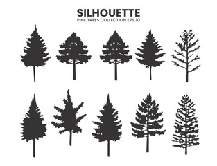 Poster - Silhouette Pine Trees Collection – Vector Illustration