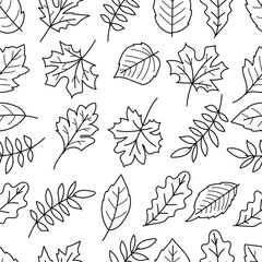 Wall Mural - Seamless pattern of leaves in black line art isolated on white background.Vector illustration