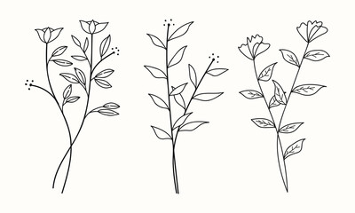 Wall Mural - Botanical hand-drawn twigs and leaves vector collection