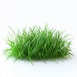 © KHF - A lush green grass field set against a transparent or white background, ideal for showcasing products.