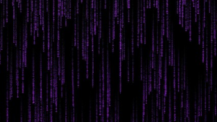 Matrix code, digital rain background, The falling purple characters in verical lines on computer screen