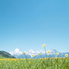 Wall Mural - Springtime Bliss Minimalist Alpine Landscape with Blooming Meadows