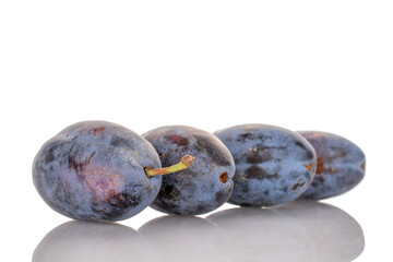 Wall Mural - Four ripe black plums, macro, isolated on white background.