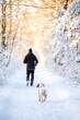 © Lucky - Owner walking with his dog, snow forest, winter walk, winter wonderland, walking with a pet in a forest, active pet