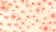 © SusDmi - Peach floral wall textured background, low-poly, with white tones