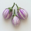 © Ishika - three striped eggplants on white