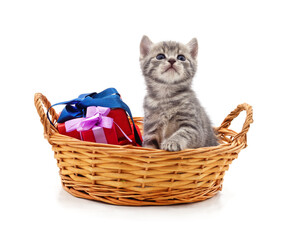 Wall Mural - Kitten in a basket and gifts.