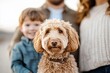 © Odin AI - Family enjoys a sunny day outdoors with their adorable dog and cheerful child in a natural setting