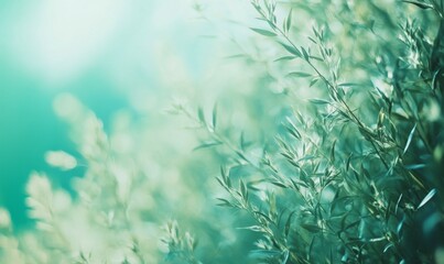 Abstract background with bokeh of green grass and blue sky for World Environment Day