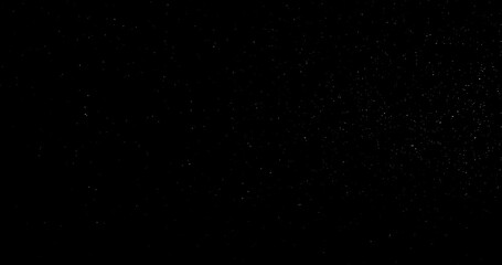 Wall Mural - Natural Organic Dust Particles Floating On Black Background. Dynamic Dust Particles Randomly Float In Space. Shimmering Glittering Dust Particles With Bokeh. Slow motion on Black Background.