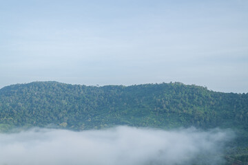 Wall Mural - misty landscape with forest. foggy clouds above tree. panoramic mountain in deep countryside at thai