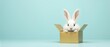 © schiers_images - A cute white rabbit sitting in a cardboard box on a minimalist light blue background. Represents pets, innocence, and adorable moments.