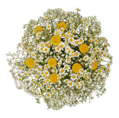 Bouquet of fresh small yellow and white flowers, top view cut out isolated transparent background