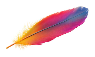 Vibrant rainbow feather with soft gradient shades of pink, yellow, blue, and orange, artistic and nature-inspired delicate design isolated on transparent background