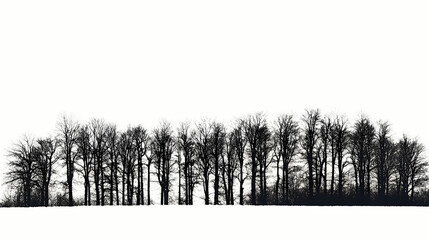 Silhouetted forest against white sky. Treeline. Illustration