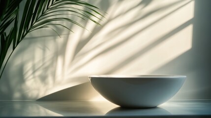 Aufkleber - A minimalist scene featuring a white bowl and a palm leaf casting shadows on a wall.