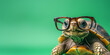 © Василь Тігай - Turtle with Glasses on Green Background